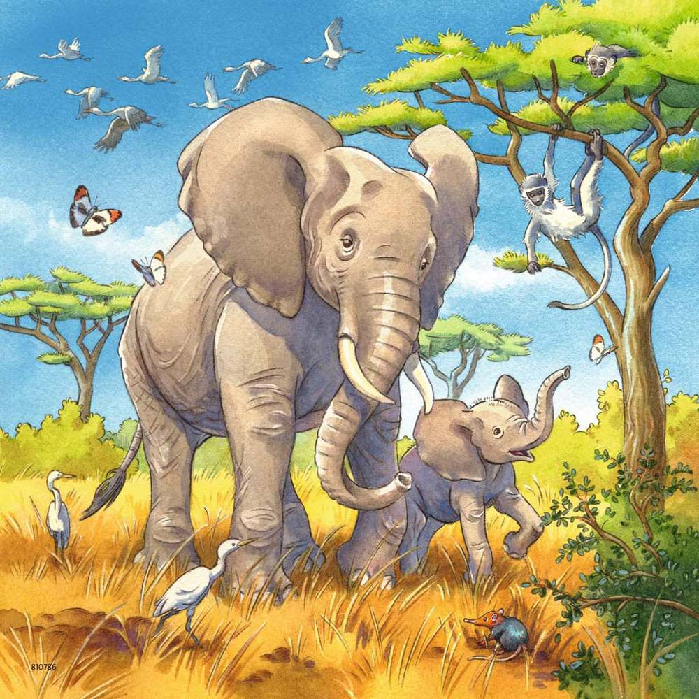 Puzzle Animale, 3X49 Piese
